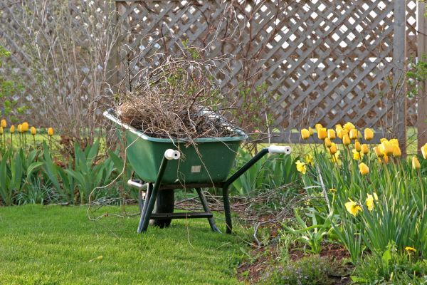 Flower Bed Cleanup Service in Cape Coral