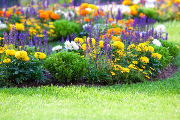 Flower Bed Maintenance in Cape Coral
