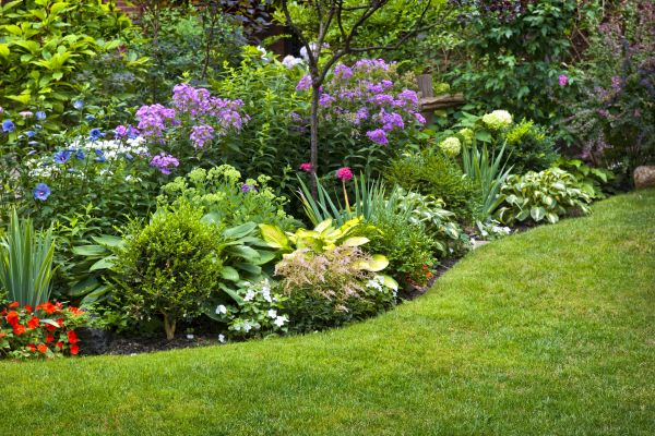 Flower Bed Service in Cape Coral