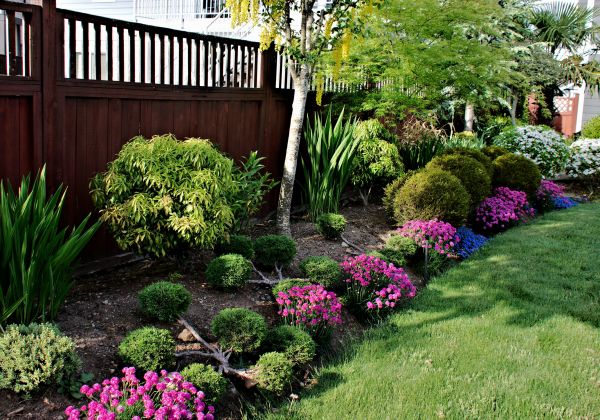 Garden Care Service in Cape Coral