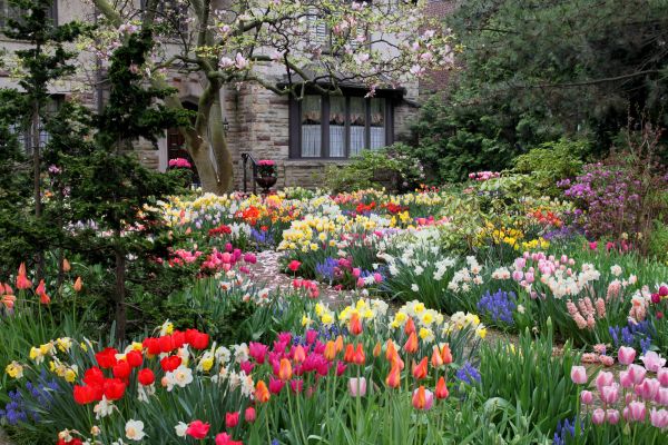 Garden Maintenance Service in Cape Coral