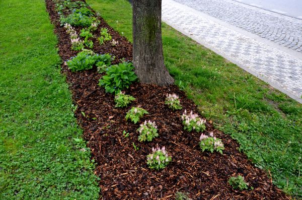 Mulch Replacement Service in Cape Coral