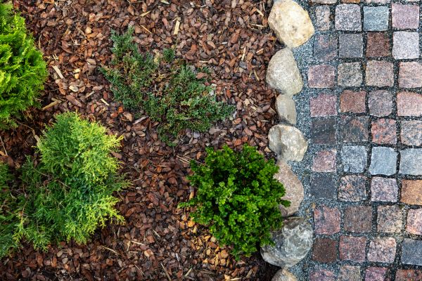 Mulch Spreading in Cape Coral