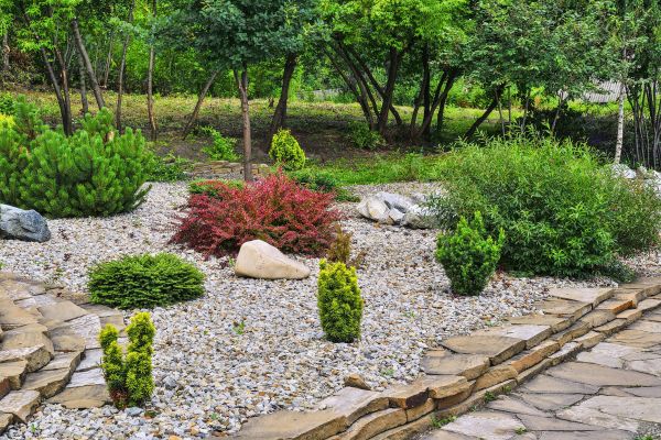 Rock Landscaping in Cape Coral