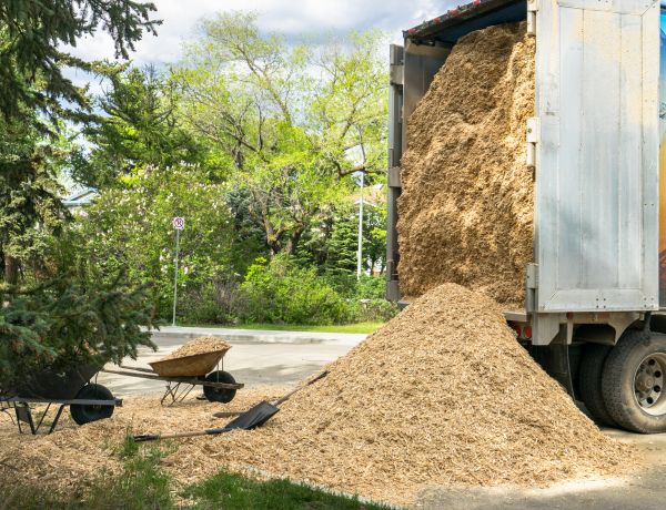 Wood Chips Delivery in Cape Coral