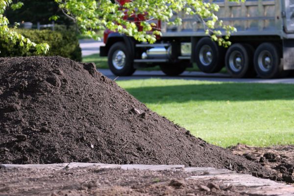 Yard Dirt Delivery in Cape Coral