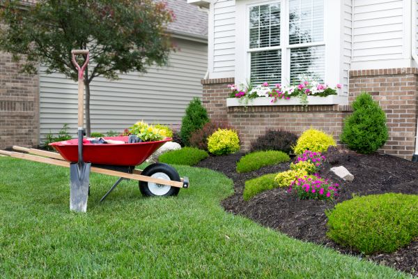 Landscape Maintenance Service in Cape Coral