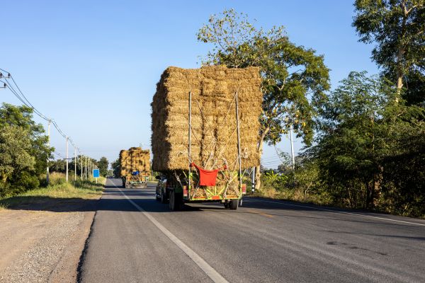 Pine Straw Delivery in Cape Coral