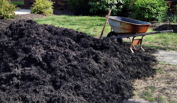 Black Mulch Delivery in Cape Coral