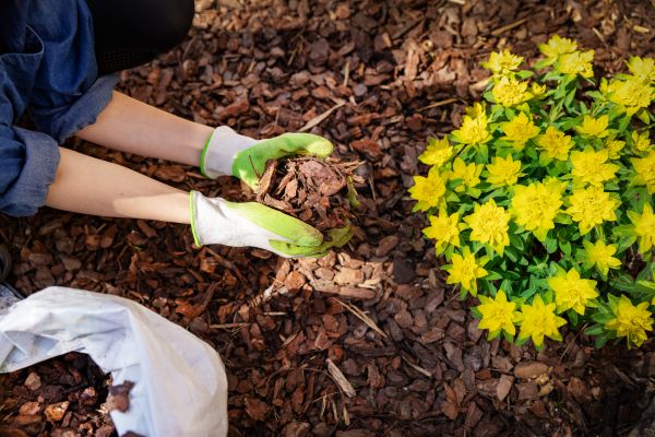 Garden Mulching in Cape Coral