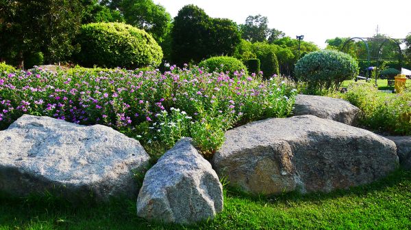 Boulder Landscaping in Cape Coral