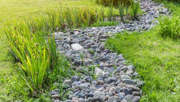 River Rock Garden Installation in Cape Coral