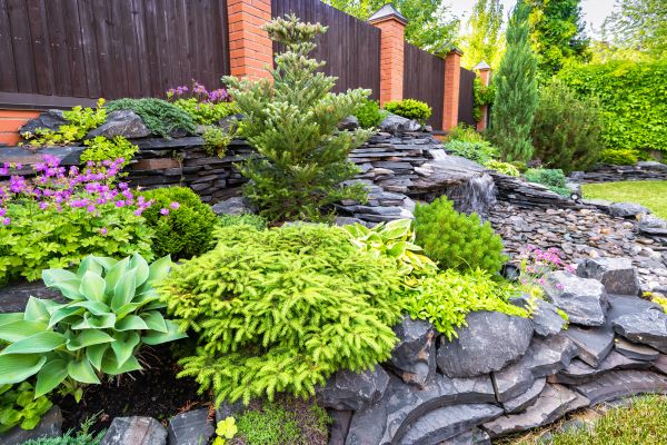 Landscape Remodeling in Cape Coral