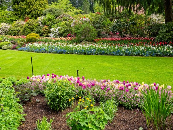 Residential Landscape Design in Cape Coral