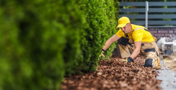 Cypress Mulch Installation in Cape Coral