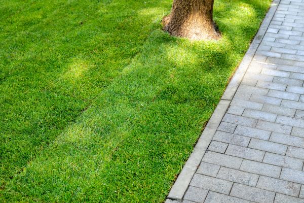 Border Stone Installation in Cape Coral