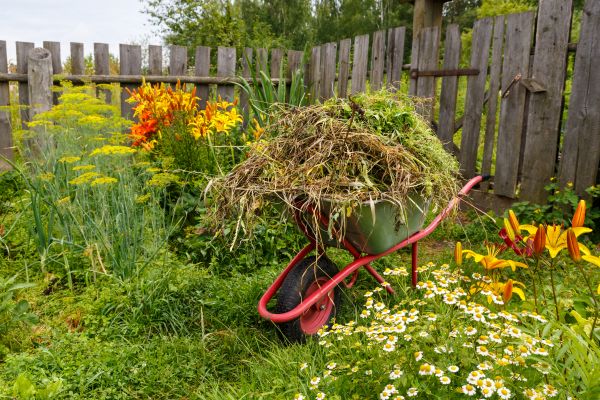 Garden Cleanup Service in Cape Coral