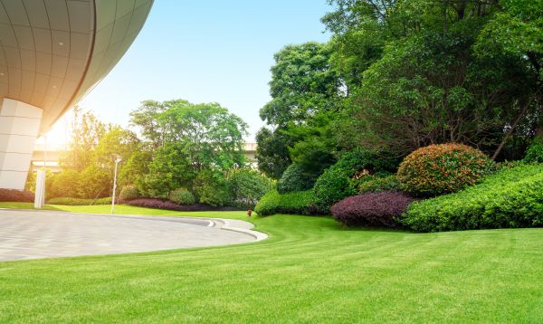 Business Landscape Design in Cape Coral