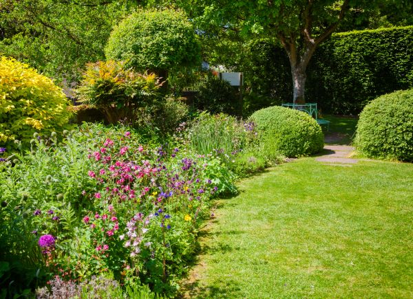 Yard Landscaping Service in Cape Coral