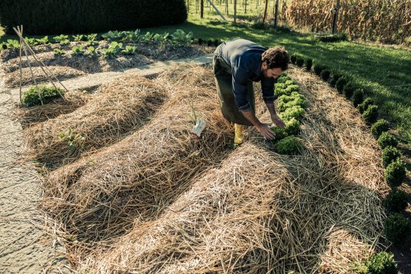 Straw Mulching Service in Cape Coral