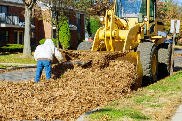 Mulch Hauling in Cape Coral