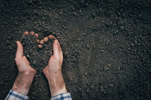 Soil Installation in Cape Coral