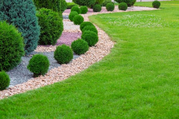 Edging Stones Installation in Cape Coral