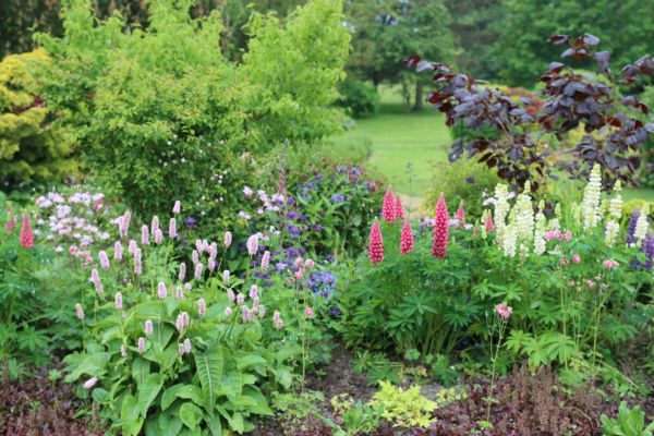 Flower Bed Planting in Cape Coral
