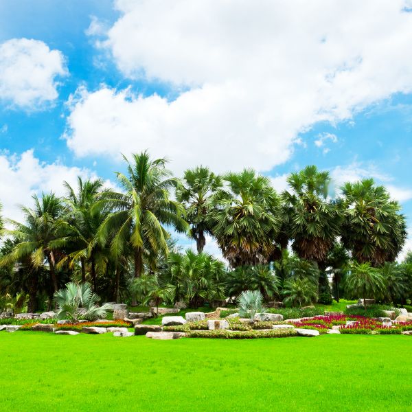 Tropical Landscaping in Cape Coral