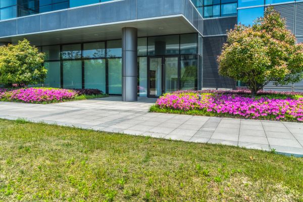 Commercial Gardening in Cape Coral