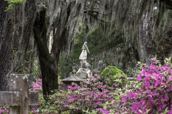 Cemetery Landscaping in Cape Coral