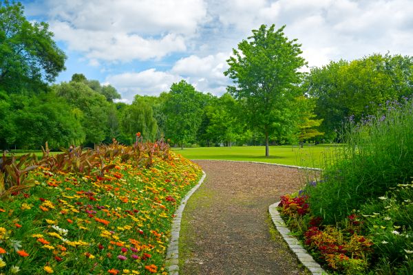 Park Landscaping in Cape Coral
