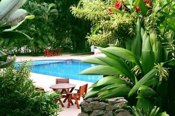 Tropical Garden Landscaping in Cape Coral
