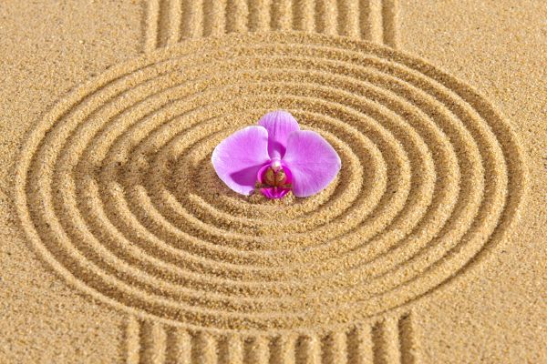 Sand Garden Landscaping in Cape Coral