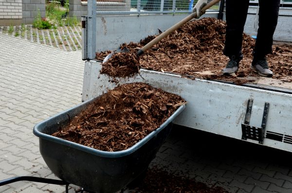 Cypress Mulch Delivery in Cape Coral