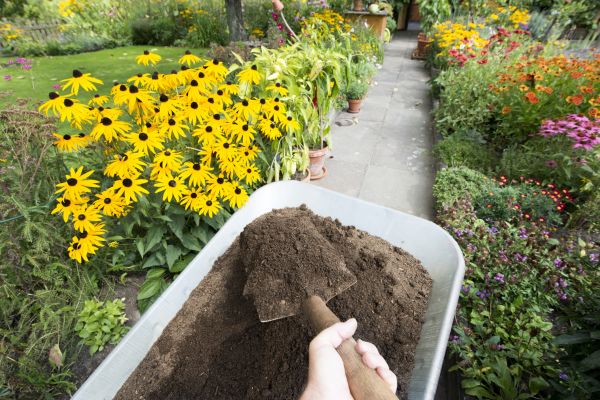 Topsoil Replacement in Cape Coral