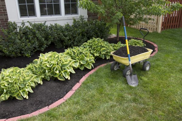 Landscape Mulching in Cape Coral