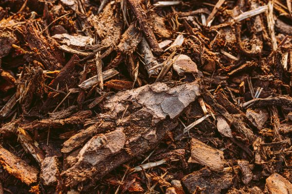 Bark Mulch Delivery in Cape Coral