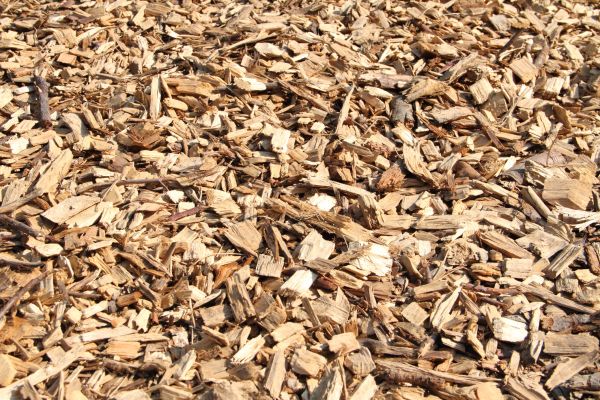 Wood Mulch Delivery in Cape Coral