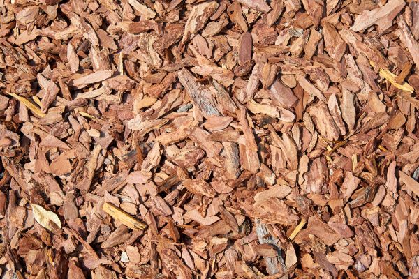 Pine Mulch Spreading in Cape Coral