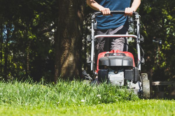 Garden Trimming Service in Cape Coral