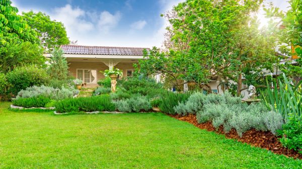 Greenery Planting in Cape Coral