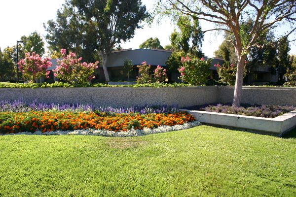 Commercial Landscape Service in Cape Coral