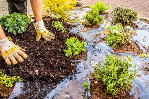 Mulch Fabric Installation in Cape Coral