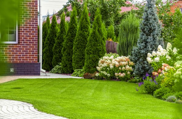 Spring Landscaping in Cape Coral