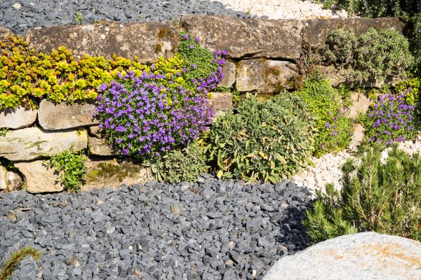 Landscaping Rocks Installation in Cape Coral
