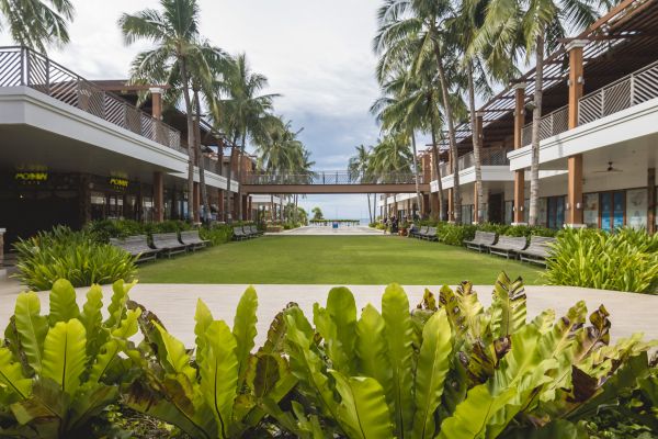 Commercial Lawn Renovation in Cape Coral