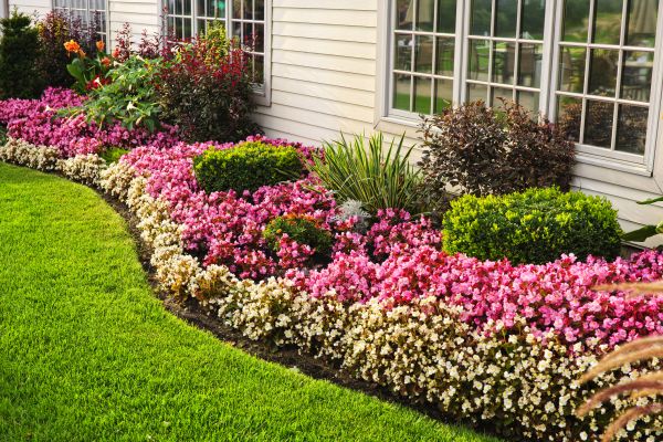 Garden Landscape Design in Cape Coral
