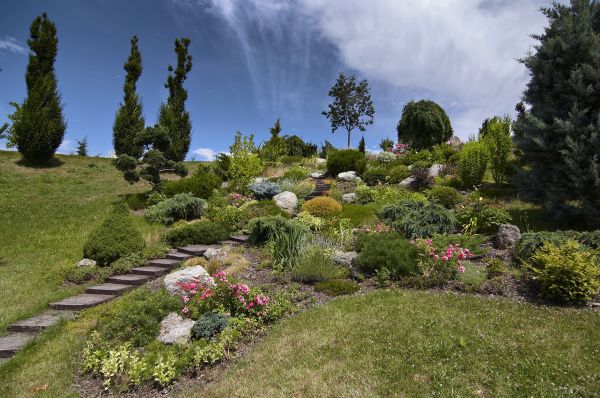 Steep Terrain Landscaping in Cape Coral