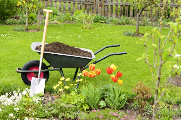 Spring Yard Renovation in Cape Coral